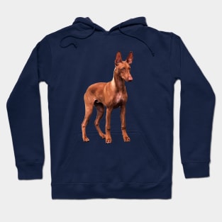 Pharaoh Hound Dog Hoodie